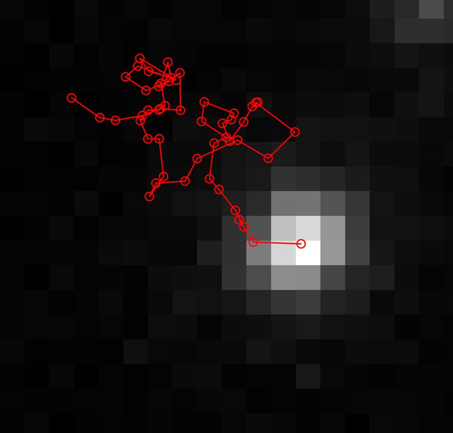 KAUST_fig4_w.jpg