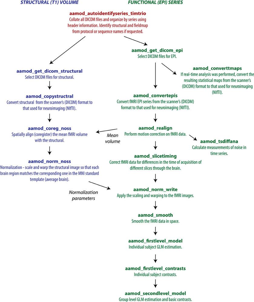 Figure 2. An example subset of an AA pipeline for functional MRI analysis (Image courtesy of Cusack et al, 2015).