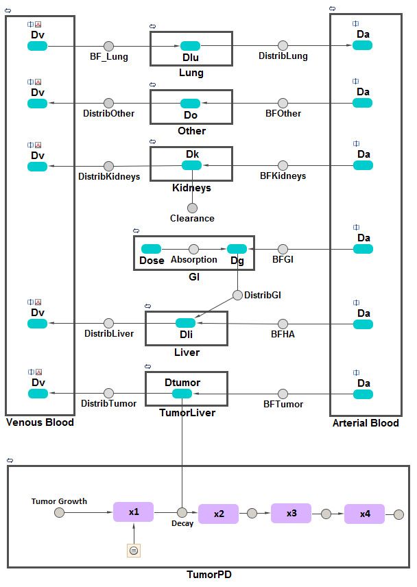 Figure 2. SimBiology implementation of a physiologically based pharmacokinetic (PBPK) model coupled with a PD model of tumor growth inhibition.