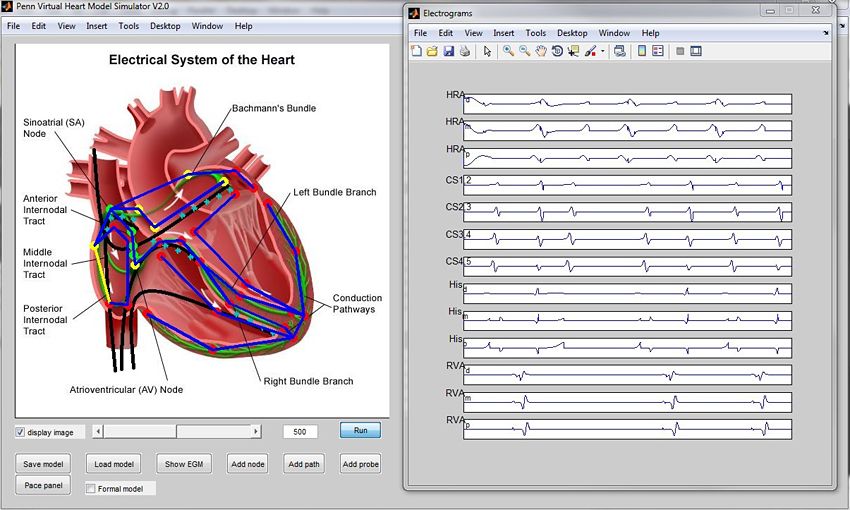 UPenn_Figure_5_w.jpg