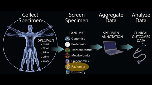 Moffitt Cancer Center beschleunigt mit Machine Learning die Krebsforschung