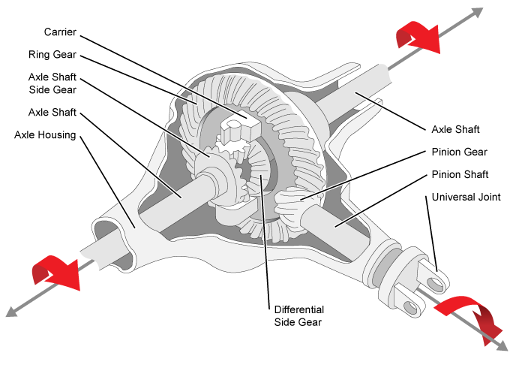 Parts Of A Differential