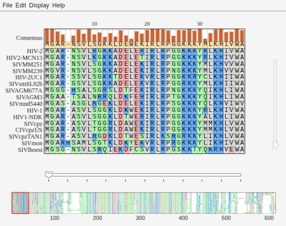 Figure Biological Sequence Alignment - 1 contains 2 axes objects and other objects of type uigridlayout, uimenu. Axes object 1 contains 6 objects of type image, patch, line. Axes object 2 contains 3 objects of type image, patch.