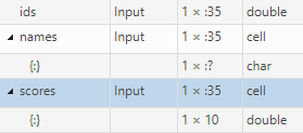 Portion of code generation report, showing input argument types.
