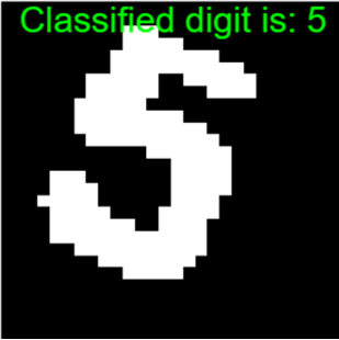 classifiedImage.png