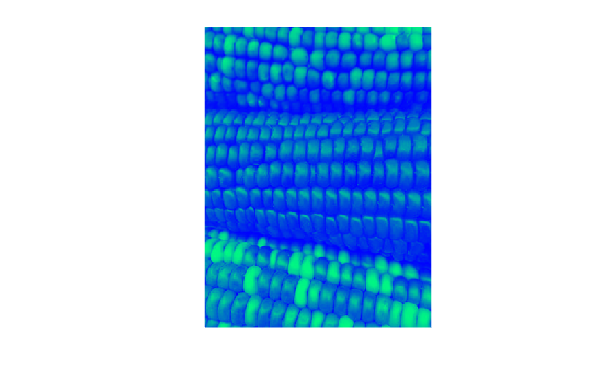 Figure contains an axes object. The hidden axes object contains an object of type image.