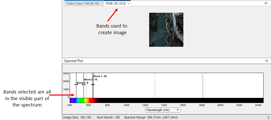 Hyperspectral Viewer RGB View