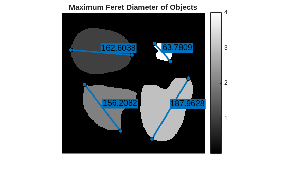 Figure contains an axes object. The hidden axes object with title Maximum Feret Diameter of Objects contains 5 objects of type image, images.roi.line.
