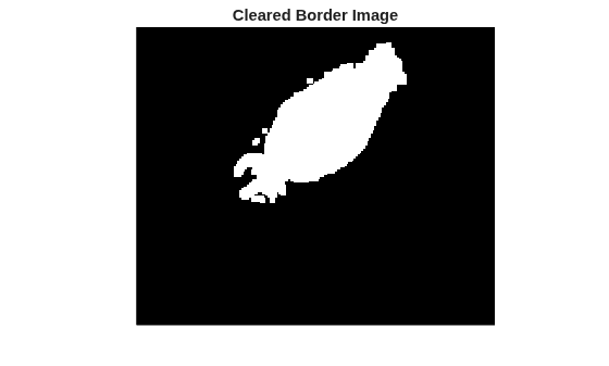 Figure contains an axes object. The hidden axes object with title Cleared Border Image contains an object of type image.