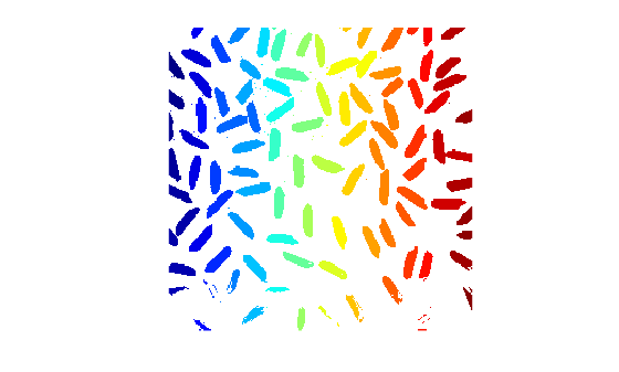Figure contains an axes object. The hidden axes object contains an object of type image.