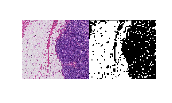 Figure contains an axes object. The hidden axes object contains an object of type image.