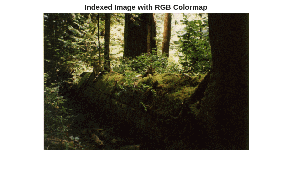 Figure contains an axes object. The hidden axes object with title Indexed Image with RGB Colormap contains an object of type image.