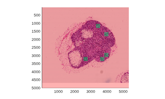 Figure contains an axes object. The axes object contains an object of type bigimageshow.