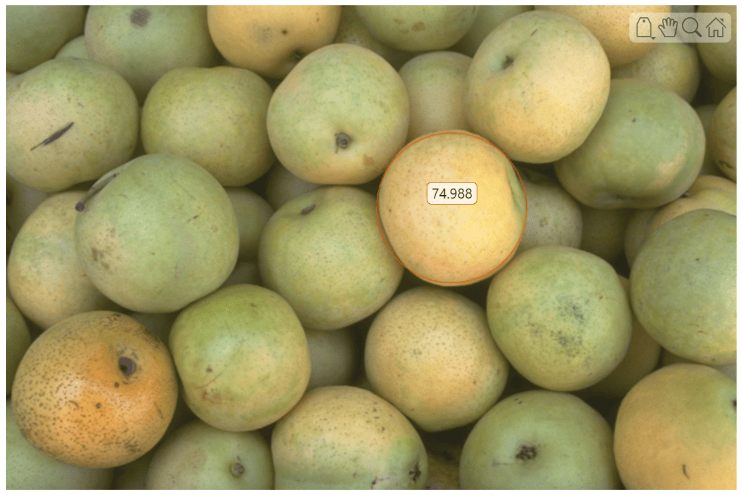 Pears image with a circle ROI with a numeric label around one object
