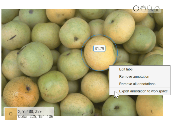 Pears image with a circle ROI around one object and the right-click context menu visible