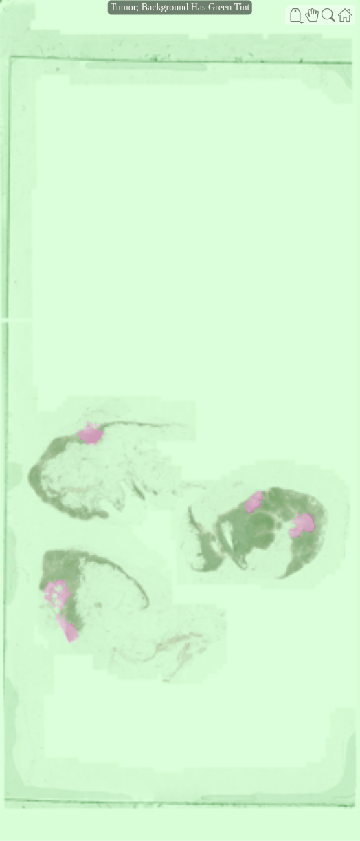Preprocess Multiresolution Images for Training Classification Network