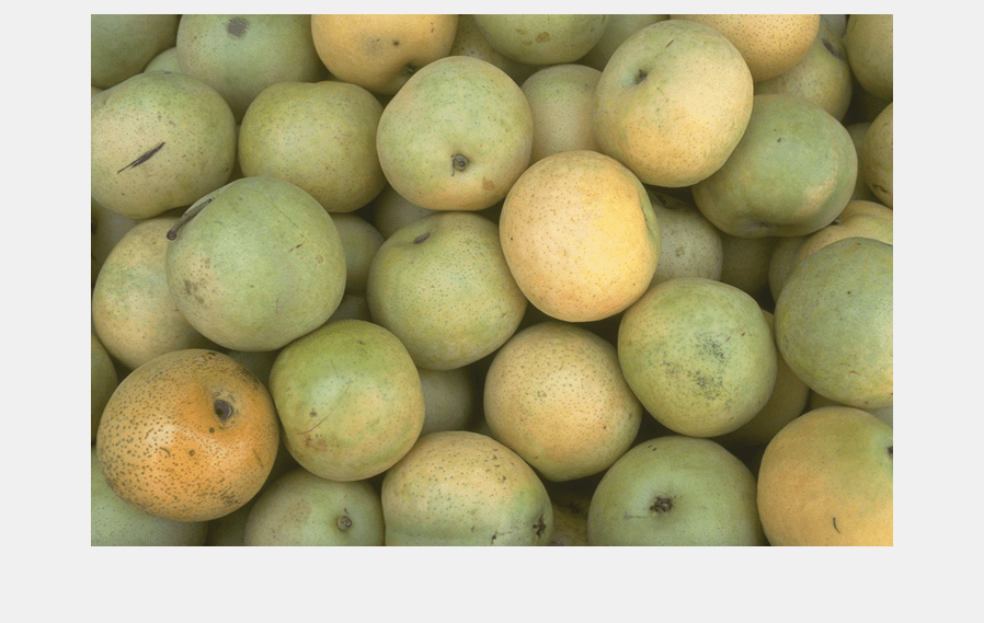 Figure Pears contains an axes object and another object of type uipanel. The hidden axes object contains an object of type image.