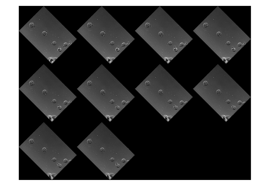 Figure contains an axes object. The hidden axes object contains an object of type image.