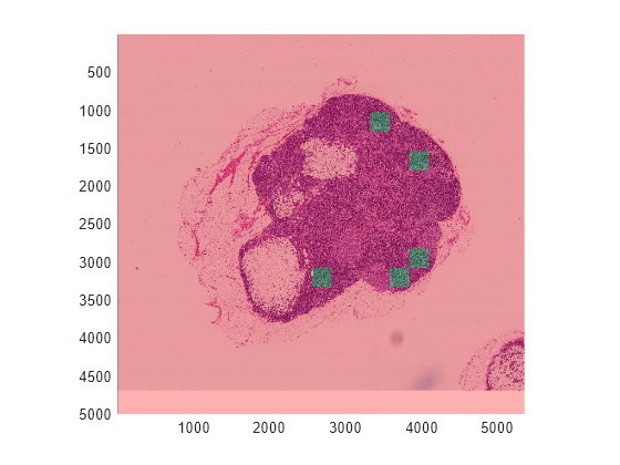 Figure contains an axes object. The axes object contains an object of type bigimageshow.