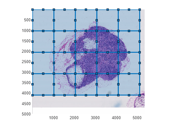 Figure contains an axes object. The axes object contains 21 objects of type bigimageshow, images.roi.rectangle.