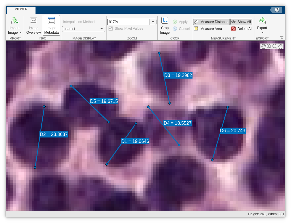 Image Viewer app window showing several sample measurements of the nucleus diameter
