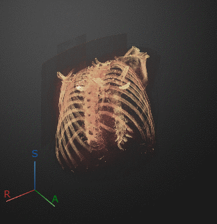 Exported GIF animation of the 3-D volume
