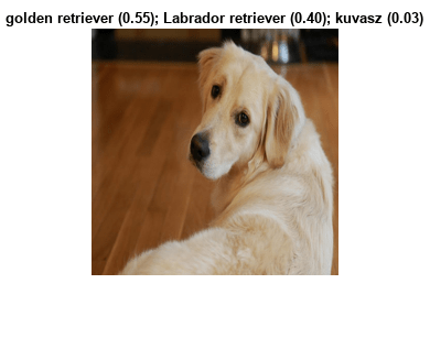 Figure contains an axes object. The axes object with title golden retriever (0.55); Labrador retriever (0.40); kuvasz (0.03) contains an object of type image.