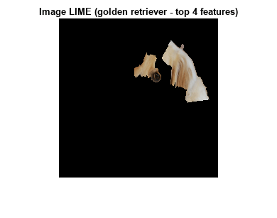 Figure contains an axes object. The axes object with title Image LIME (golden retriever - top 4 features) contains an object of type image.