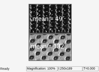 Compute Mean of ROIs in Image