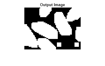 Figure contains an axes object. The hidden axes object with title Output Image contains an object of type image.