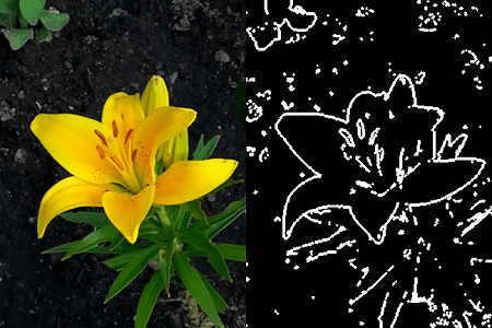 A color image displayed next to a binary image representing detected edges in the original image.