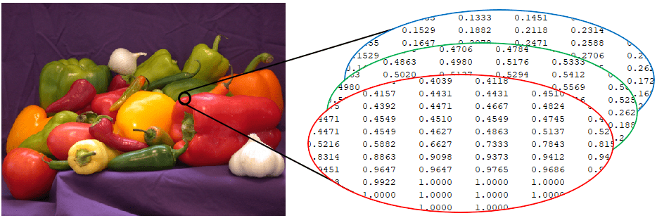 RGB image accompanied by a selection of printed pixel values for the three color channels