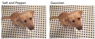 An image with randomly added salt and pepper noise is on the left, and an image with randomly added Gaussian noise is on the right.