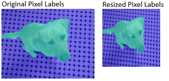 The original pixel label image is on the left, and a resized pixel label image is on the right.