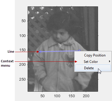 Blue line displayed over an image, with a context menu that gives options to copy the position, set the color, or delete the line.