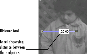 Distance tool displaying a blue line over an image, with a label that indicates that the length of the line is 120.0 pixels.