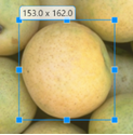 Blue Rectangle ROI encompassing an object in an image