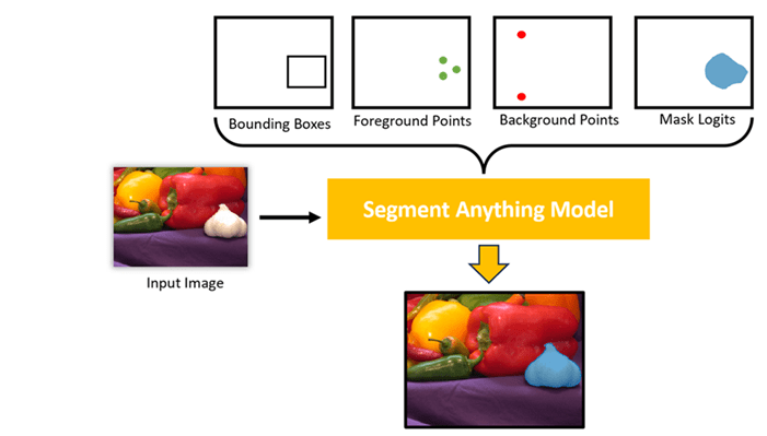 SAM uses visual prompts visual prompts, such as points, boxes, and masks, to interactively produce accurate segmentation.