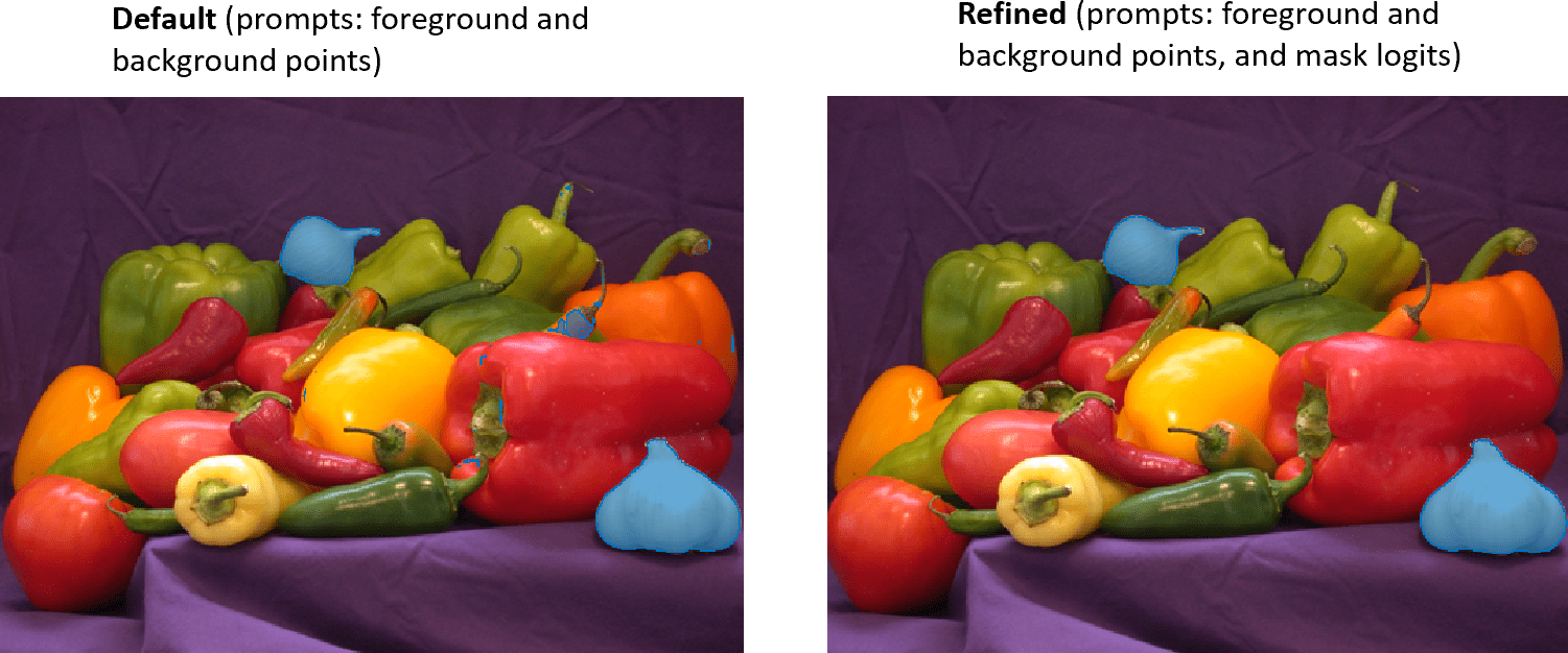 Refining segmentation masks produced using SAM by passing mask logits as visual prompts in a subsequent iteration of the segmentation
