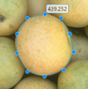 Blue Polyline ROI with 12 line segments approximating the boundary of an object in an image.