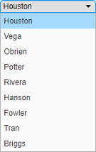 Drop-down list containing a list of 8 last names.