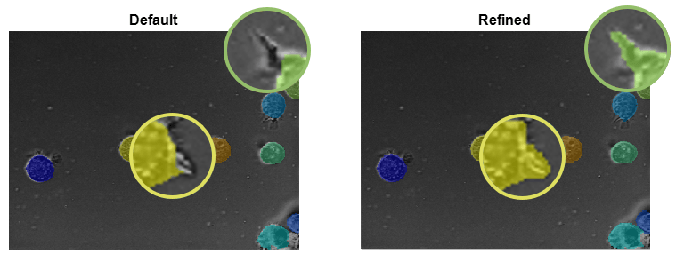 Side-by-side comparison of a microscopy image labeled using default versus refined cellpose parameters.