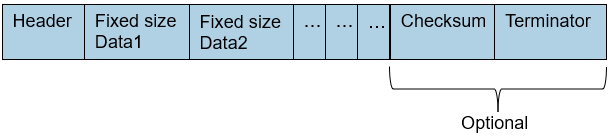 General structure of fixed size packet