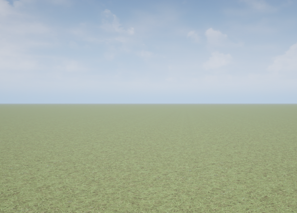 Empty grass scene
