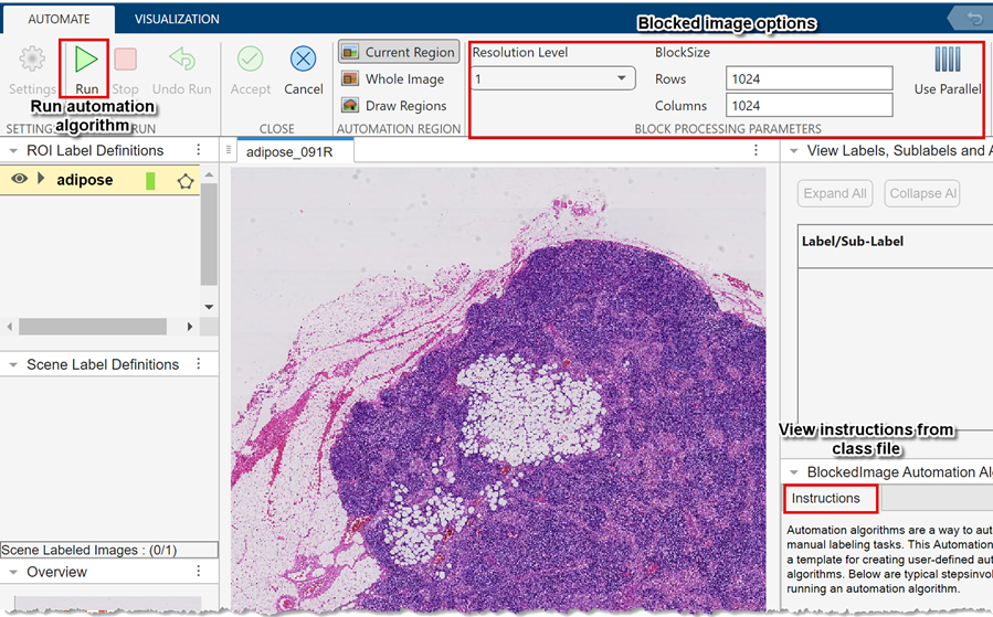 The Image Labeler Automate tab.