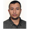 S. Muhammad Hossein Mousavi